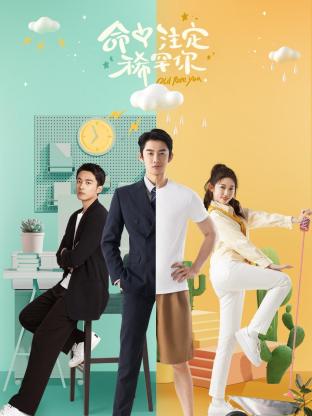 命中註定稀罕你